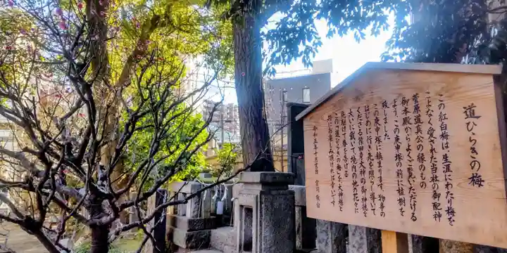 小野照崎神社(東京都)
