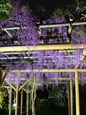 亀戸天神社(東京都)