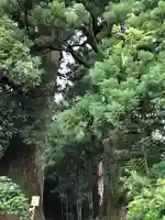 熊野那智大社(和歌山県)