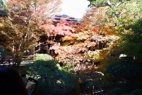 禅林寺（永観堂）(京都府)