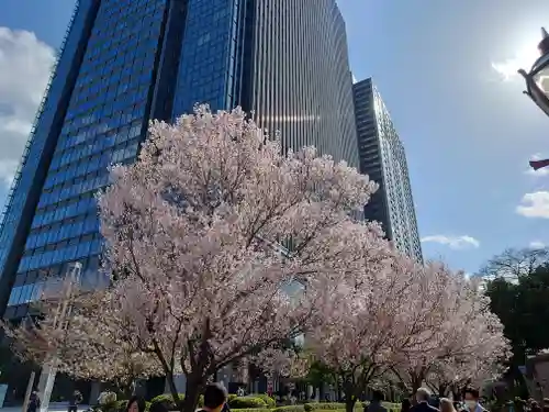 東京大神宮(東京都)