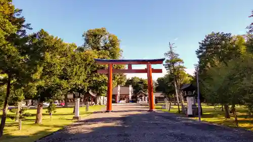 北海道護國神社の鳥居