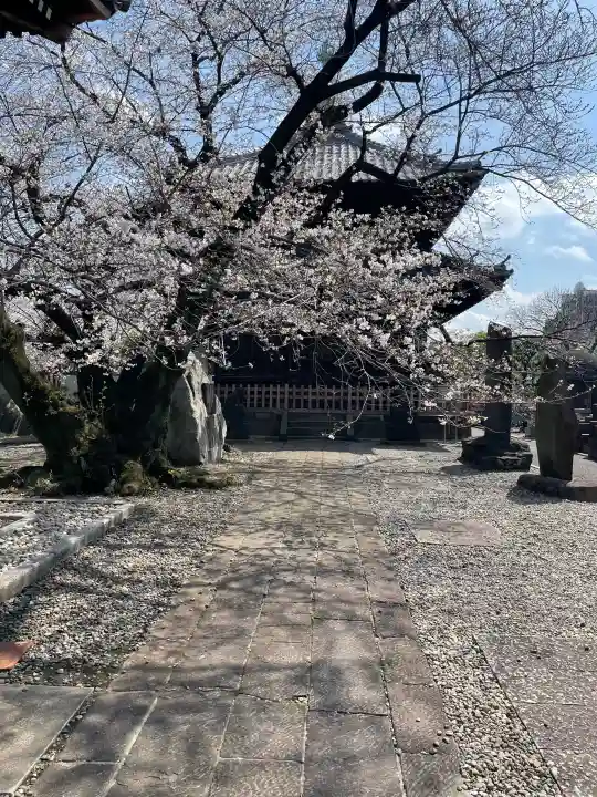 吉祥寺の{uncategorized: "未分類", other: "その他", undefined: "問題あり", building: "その他建物", grave: "お墓", sacred_gate: "鳥居", guardian: "狛犬", statue: "像", buddha: "仏像", history: "歴史", nature: "自然", garden: "庭園", animal: "動物", pagoda: "塔", temizu: "手水舎", mountain_gate: "山門・神門", sanctuary: "本殿・本堂", subordinate: "末社・摂社", art: "芸術", scenery: "景色", jizo: "地蔵", ema: "絵馬", goshuin: "御朱印", omikuji: "おみくじ", items: "授与品その他", amulet: "お守り", goshuincho: "御朱印帳", eats: "食事", festival: "お祭り", votive_dance: "神楽", shichigosan: "七五三参", wedding: "結婚式", experience: "体験その他", initially: "初詣", around: "周辺", anti_infection: "感染症対策"}