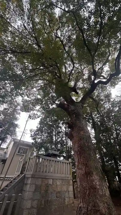 須佐之男神社(奈良県)