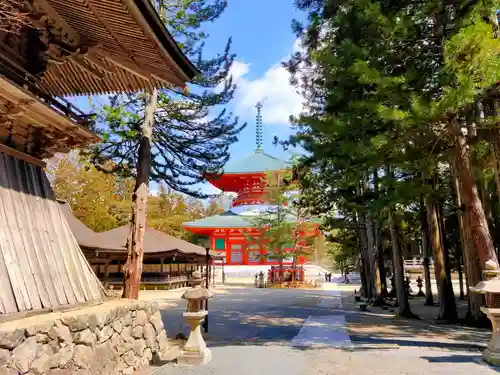 高野山金剛峯寺(和歌山県)