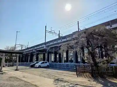 乞田八幡神社(東京都)