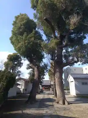 関神社(神奈川県)