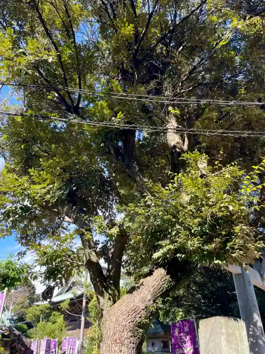 龍宮(江島神社)(神奈川県)