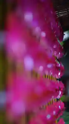 水無瀬神宮(大阪府)