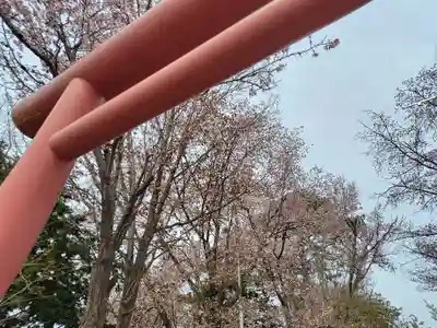 上富良野神社(北海道)