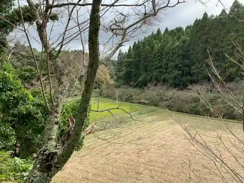 神社（名称不明）の景色