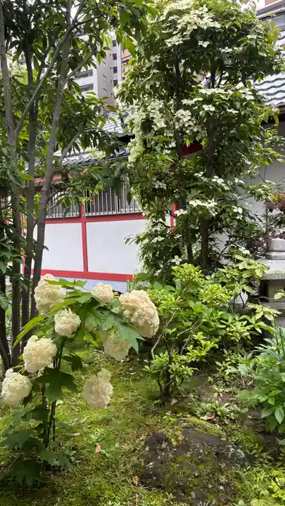 仙台大神宮(宮城県)