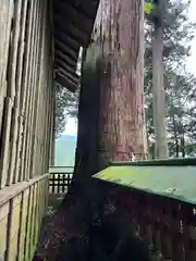 黒川神社(栃木県)