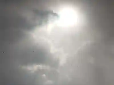 出雲大社(島根県)