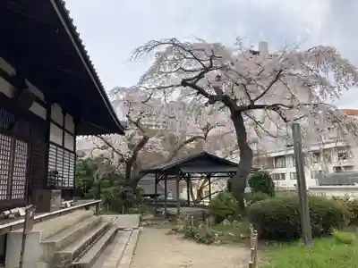善福寺(兵庫県)