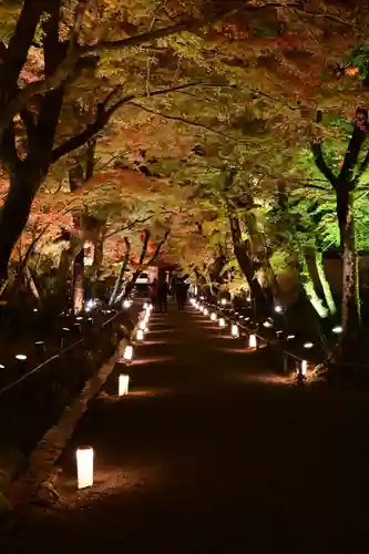 宝厳院(京都府)