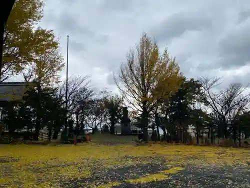 豊足神社の{uncategorized: "未分類", other: "その他", undefined: "問題あり", building: "その他建物", grave: "お墓", sacred_gate: "鳥居", guardian: "狛犬", statue: "像", buddha: "仏像", history: "歴史", nature: "自然", garden: "庭園", animal: "動物", pagoda: "塔", temizu: "手水舎", mountain_gate: "山門・神門", sanctuary: "本殿・本堂", subordinate: "末社・摂社", art: "芸術", scenery: "景色", jizo: "地蔵", ema: "絵馬", goshuin: "御朱印", omikuji: "おみくじ", items: "授与品その他", amulet: "お守り", goshuincho: "御朱印帳", eats: "食事", festival: "お祭り", votive_dance: "神楽", shichigosan: "七五三参", wedding: "結婚式", experience: "体験その他", initially: "初詣", around: "周辺", anti_infection: "感染症対策"}