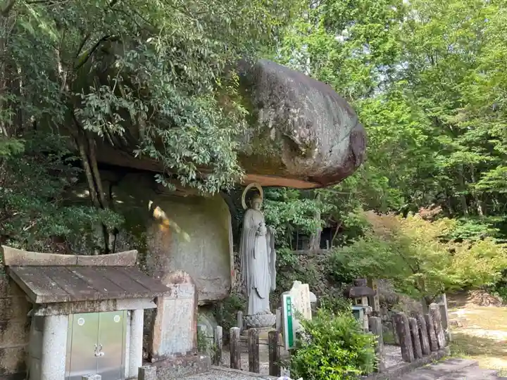 高徳寺の自然