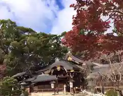 今宮神社の本殿