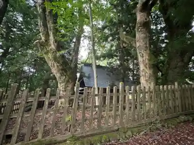 諏訪大社上社前宮(長野県)