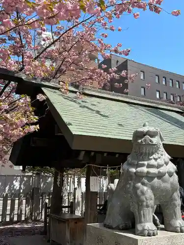 北海道神宮頓宮の狛犬