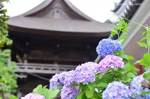 高幡不動尊　金剛寺の本殿・本堂
