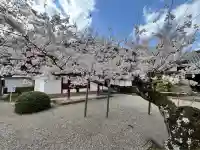 御池坊(粉河寺本坊)(和歌山県)