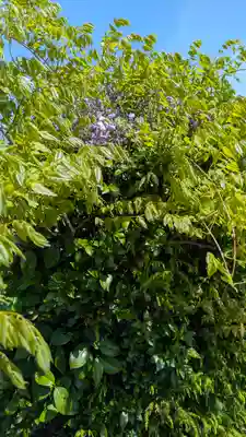 立圓寺(滋賀県)