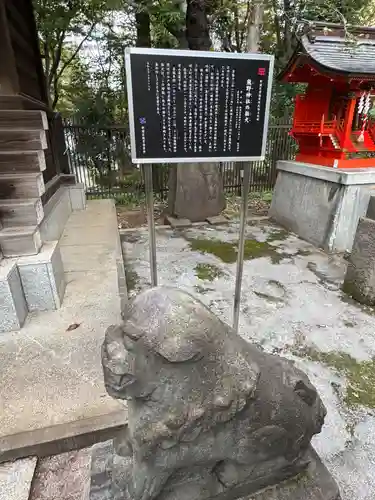 熊野神社の狛犬