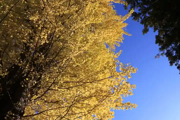 山神社(福島県)
