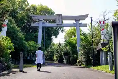 満福寺（三好稲荷閣）の{uncategorized: "未分類", other: "その他", undefined: "問題あり", building: "その他建物", grave: "お墓", sacred_gate: "鳥居", guardian: "狛犬", statue: "像", buddha: "仏像", history: "歴史", nature: "自然", garden: "庭園", animal: "動物", pagoda: "塔", temizu: "手水舎", mountain_gate: "山門・神門", sanctuary: "本殿・本堂", subordinate: "末社・摂社", art: "芸術", scenery: "景色", jizo: "地蔵", ema: "絵馬", goshuin: "御朱印", omikuji: "おみくじ", items: "授与品その他", amulet: "お守り", goshuincho: "御朱印帳", eats: "食事", festival: "お祭り", votive_dance: "神楽", shichigosan: "七五三参", wedding: "結婚式", experience: "体験その他", initially: "初詣", around: "周辺", anti_infection: "感染症対策"}