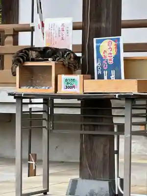 白山神社(東京都)