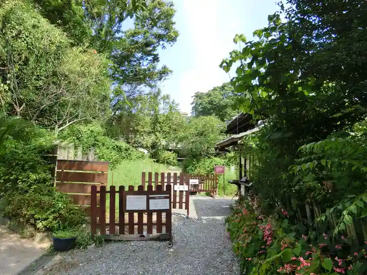 般若寺 ❁コスモス寺❁(奈良県)