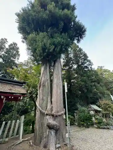 八幡神社(岐阜県)