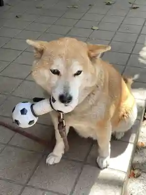 笠䅣稲荷神社(神奈川県)