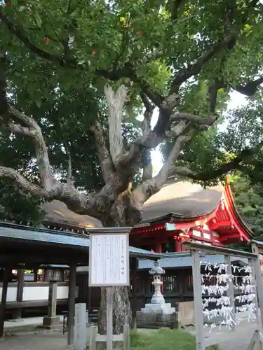 宗像大社(福岡県)