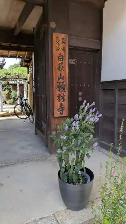 願林寺(滋賀県)
