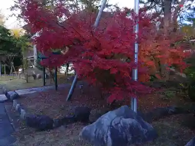 新発田諏訪神社(新潟県)