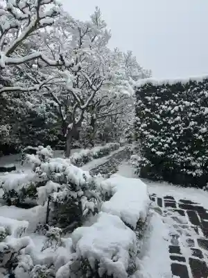 大光院の{uncategorized: "未分類", other: "その他", undefined: "問題あり", building: "その他建物", grave: "お墓", sacred_gate: "鳥居", guardian: "狛犬", statue: "像", buddha: "仏像", history: "歴史", nature: "自然", garden: "庭園", animal: "動物", pagoda: "塔", temizu: "手水舎", mountain_gate: "山門・神門", sanctuary: "本殿・本堂", subordinate: "末社・摂社", art: "芸術", scenery: "景色", jizo: "地蔵", ema: "絵馬", goshuin: "御朱印", omikuji: "おみくじ", items: "授与品その他", amulet: "お守り", goshuincho: "御朱印帳", eats: "食事", festival: "お祭り", votive_dance: "神楽", shichigosan: "七五三参", wedding: "結婚式", experience: "体験その他", initially: "初詣", around: "周辺", anti_infection: "感染症対策"}
