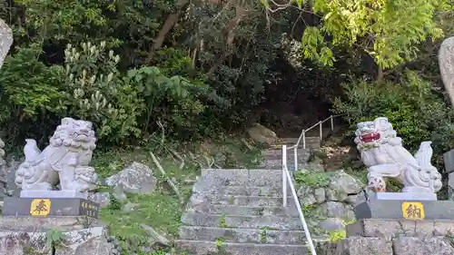 黒島神社の狛犬