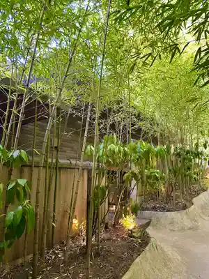 來宮神社(静岡県)