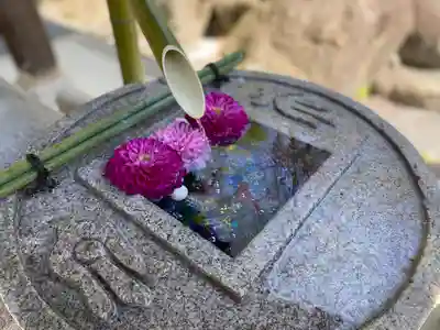 岡寺(龍蓋寺)(奈良県)