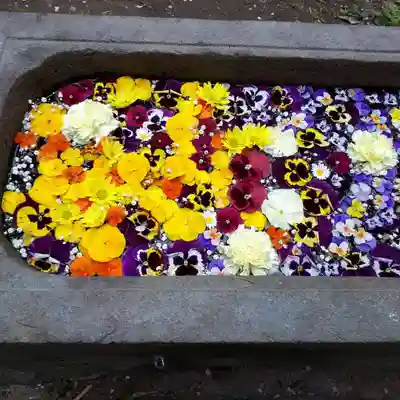 前玉神社の手水舎