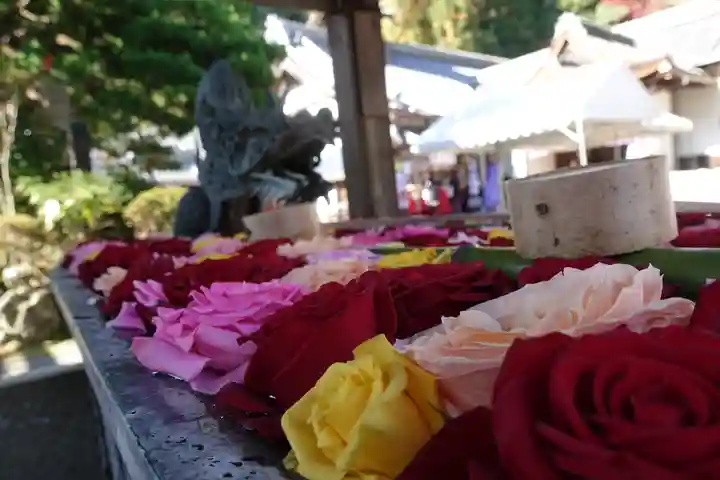 柳谷観音 楊谷寺の手水舎