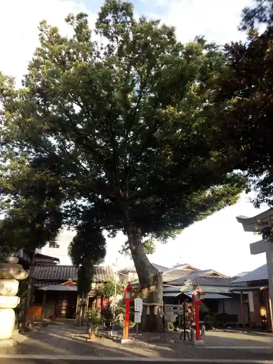 正ノ木稲荷 稲積神社のその他建物