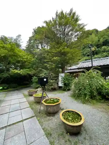 覚園寺(神奈川県)