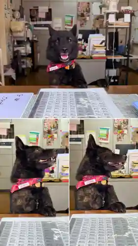 成田山函館別院函館寺の{uncategorized: "未分類", other: "その他", undefined: "問題あり", building: "その他建物", grave: "お墓", sacred_gate: "鳥居", guardian: "狛犬", statue: "像", buddha: "仏像", history: "歴史", nature: "自然", garden: "庭園", animal: "動物", pagoda: "塔", temizu: "手水舎", mountain_gate: "山門・神門", sanctuary: "本殿・本堂", subordinate: "末社・摂社", art: "芸術", scenery: "景色", jizo: "地蔵", ema: "絵馬", goshuin: "御朱印", omikuji: "おみくじ", items: "授与品その他", amulet: "お守り", goshuincho: "御朱印帳", eats: "食事", festival: "お祭り", votive_dance: "神楽", shichigosan: "七五三参", wedding: "結婚式", experience: "体験その他", initially: "初詣", around: "周辺", anti_infection: "感染症対策"}