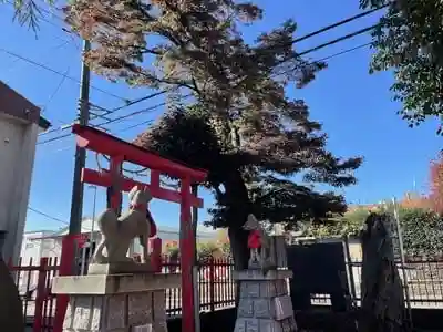 椿稲荷神社の鳥居