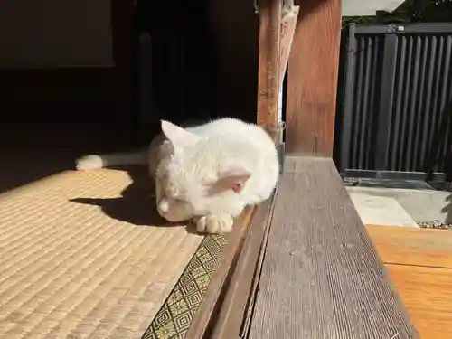 宝寿院(愛知県)