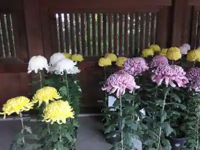 寒川神社(神奈川県)